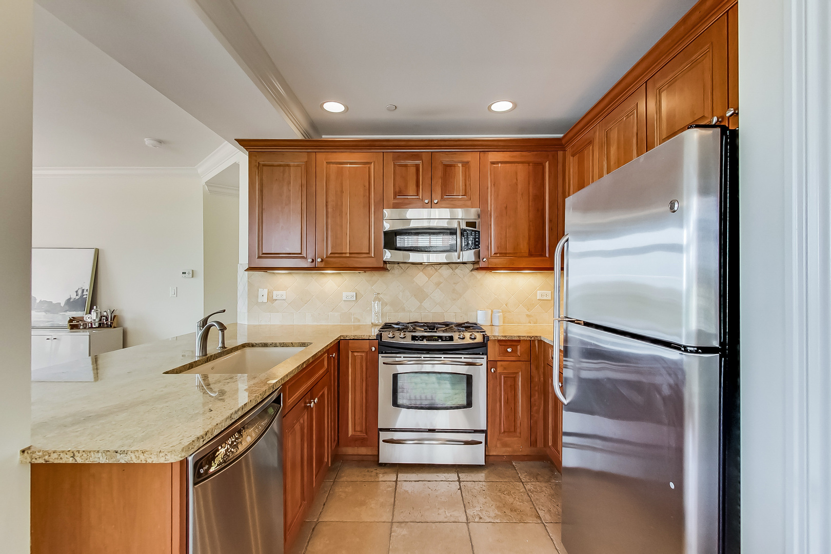 600 West Touhy Avenue, Unit 303 Park Ridge, IL 60068 - Photo 14 of 32 a kitchen with granite countertop a refrigerator stove and sink