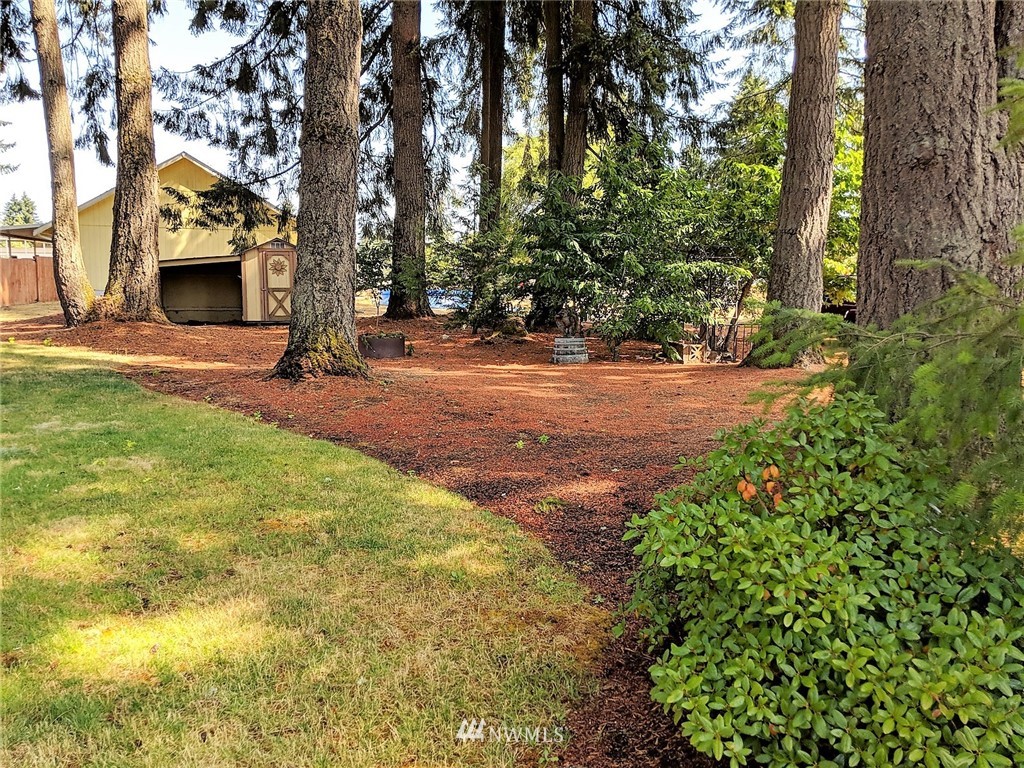 19005 Nutmeg Street Southwest Rochester, WA 98579 - Photo 4 of 24