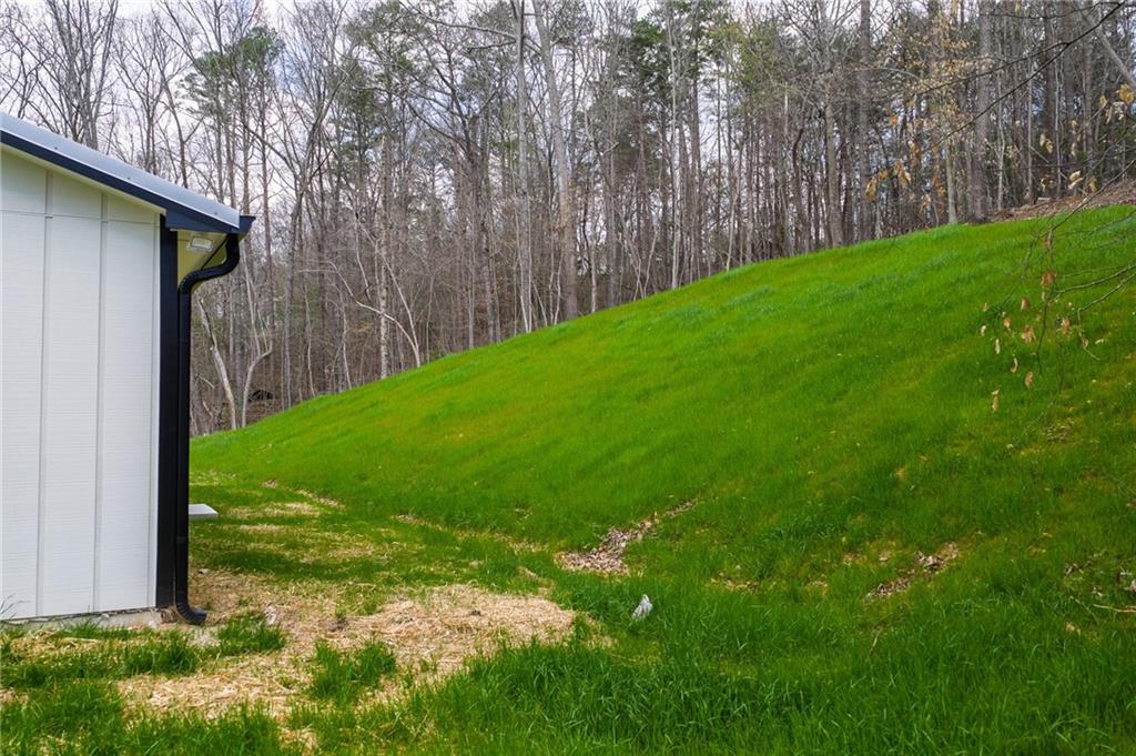 81 Loper Lane Ellijay, GA 30540 - Photo 5 of 29 a backyard of a house with lots of green space