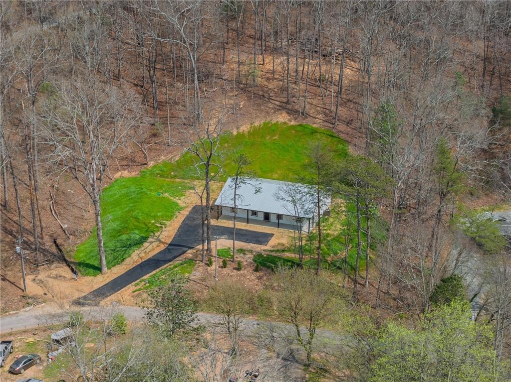 81 Loper Lane Ellijay, GA 30540 - Photo 8 of 29 a picture of a yard