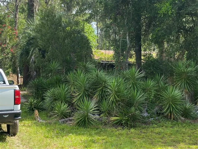 a backyard of a house with table and chairs a barbeque and plants