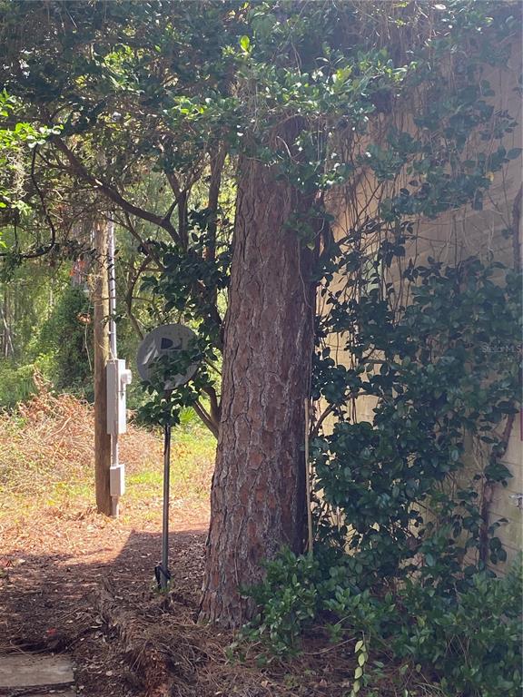 7801 Northeast 192nd Place Citra, FL 32113 - Photo 13 of 32 a view of a tree in the middle of a yard