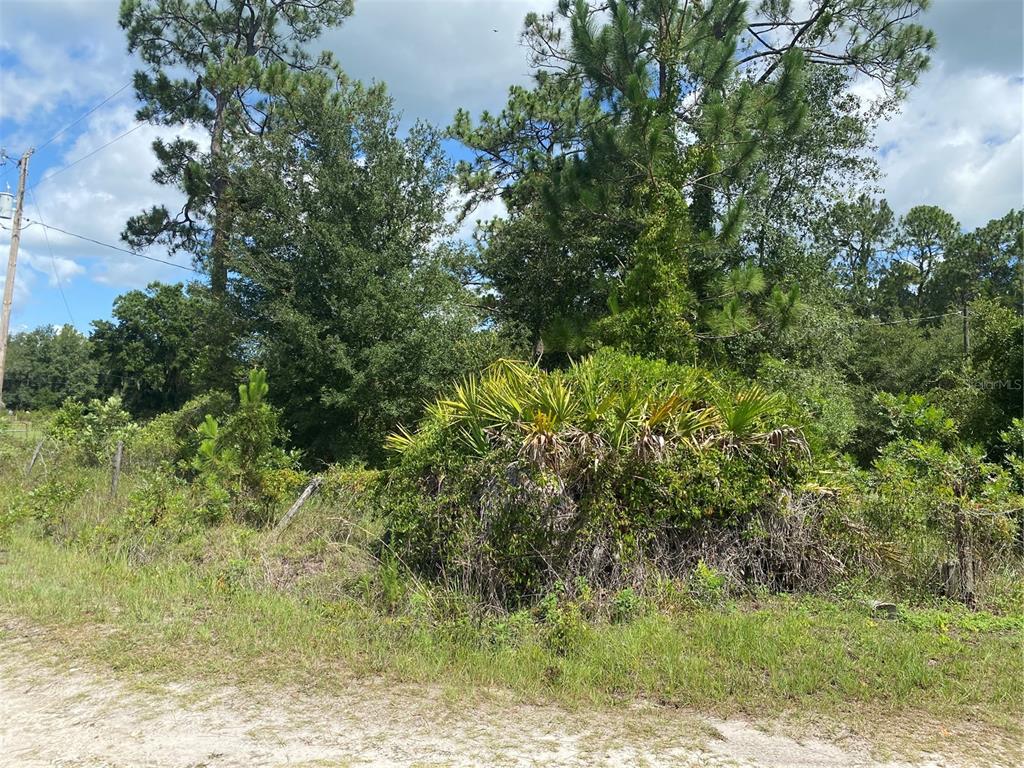 7801 Northeast 192nd Place Citra, FL 32113 - Photo 16 of 32 a view of a yard