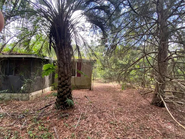 a view of a yard with a tree