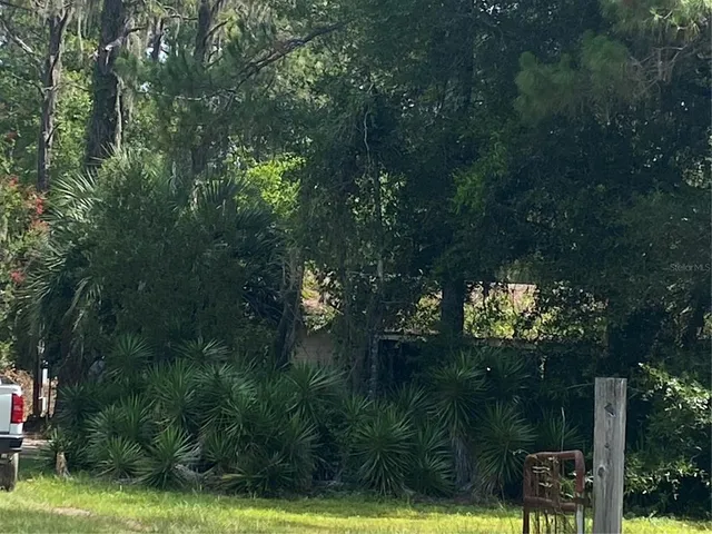 a backyard of a house with lots of green space