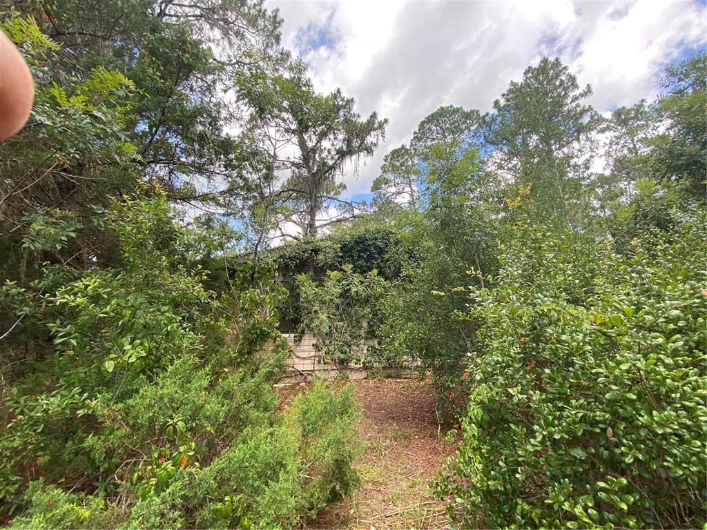 7801 Northeast 192nd Place Citra, FL 32113 - Photo 21 of 32 a view of a lake with a tree
