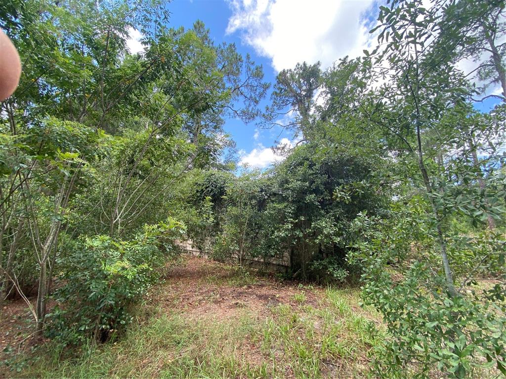 7801 Northeast 192nd Place Citra, FL 32113 - Photo 22 of 32 a backyard of a house with lots of green space