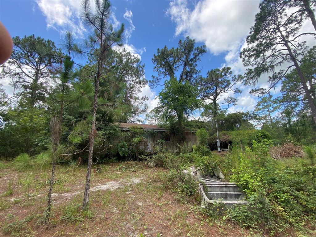 7801 Northeast 192nd Place Citra, FL 32113 - Photo 23 of 32 a backyard of a house with lots of green space