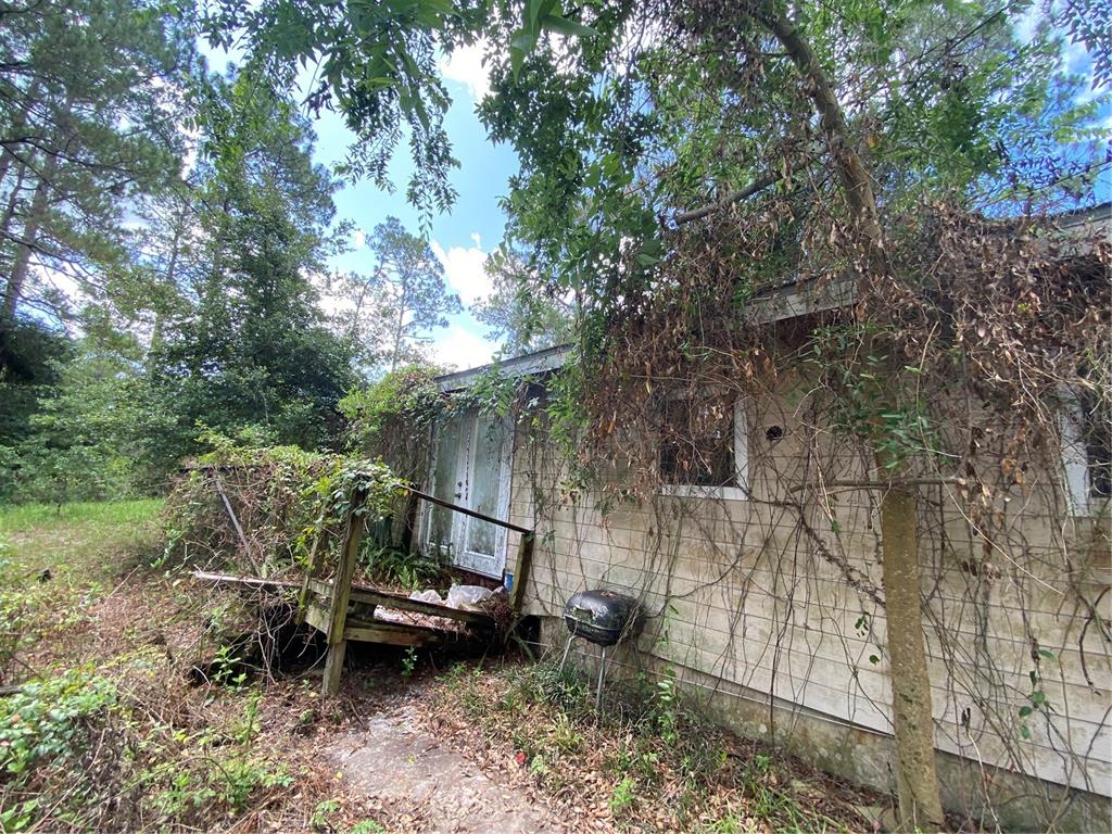 7801 Northeast 192nd Place Citra, FL 32113 - Photo 25 of 32 a backyard of a house with lots of green space