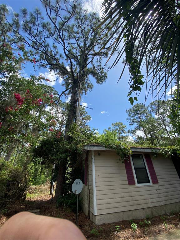 7801 Northeast 192nd Place Citra, FL 32113 - Photo 29 of 32 a backyard of a house with lots of green space