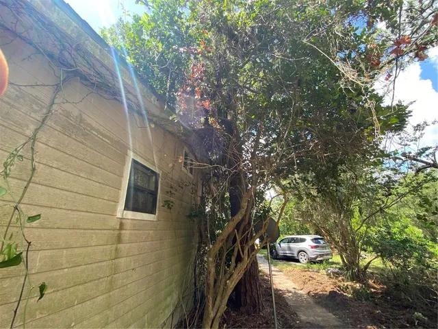 a couple of street view with trees