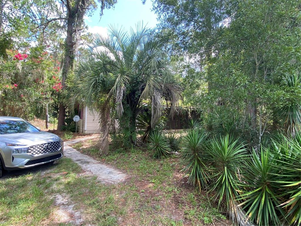 7801 Northeast 192nd Place Citra, FL 32113 - Photo 4 of 32 a view of a backyard with swimming pool