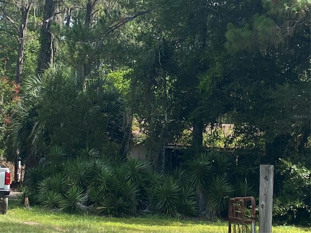 7801 Northeast 192nd Place Citra, FL 32113 - Photo 5 of 32 a backyard of a house with lots of green space