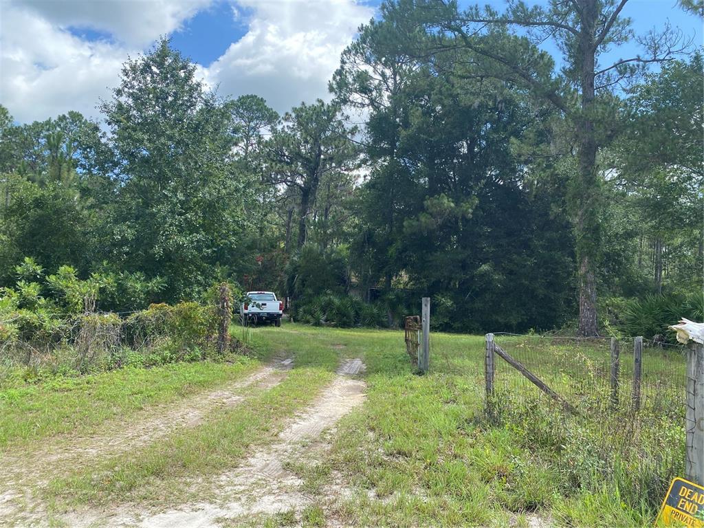 7801 Northeast 192nd Place Citra, FL 32113 - Photo 7 of 32 a view of a park
