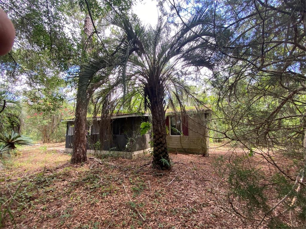7801 Northeast 192nd Place Citra, FL 32113 - Photo 9 of 32 a view of outdoor space with trees