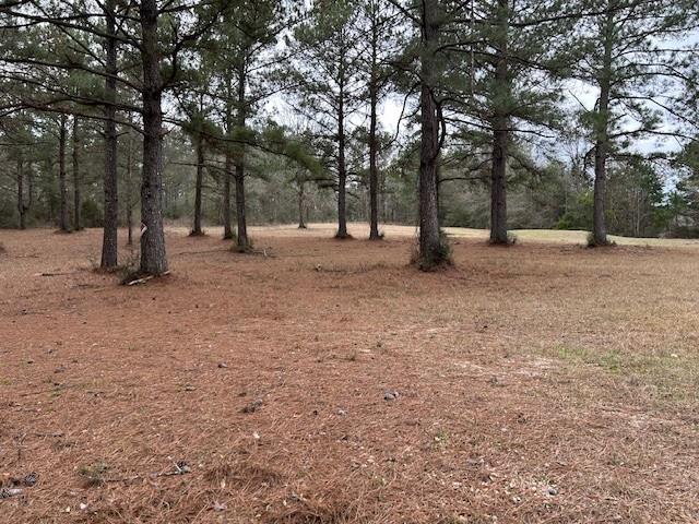 26585 Old Lake Road Mount Hermon, LA 70450 - Photo 1 of 7