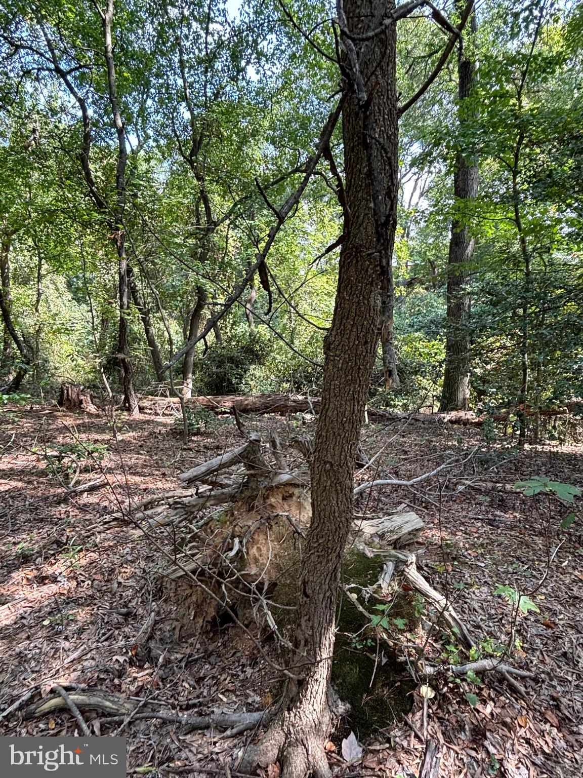 11409 Riverview Road Fort Washington, MD 20744 - Photo 14 of 15