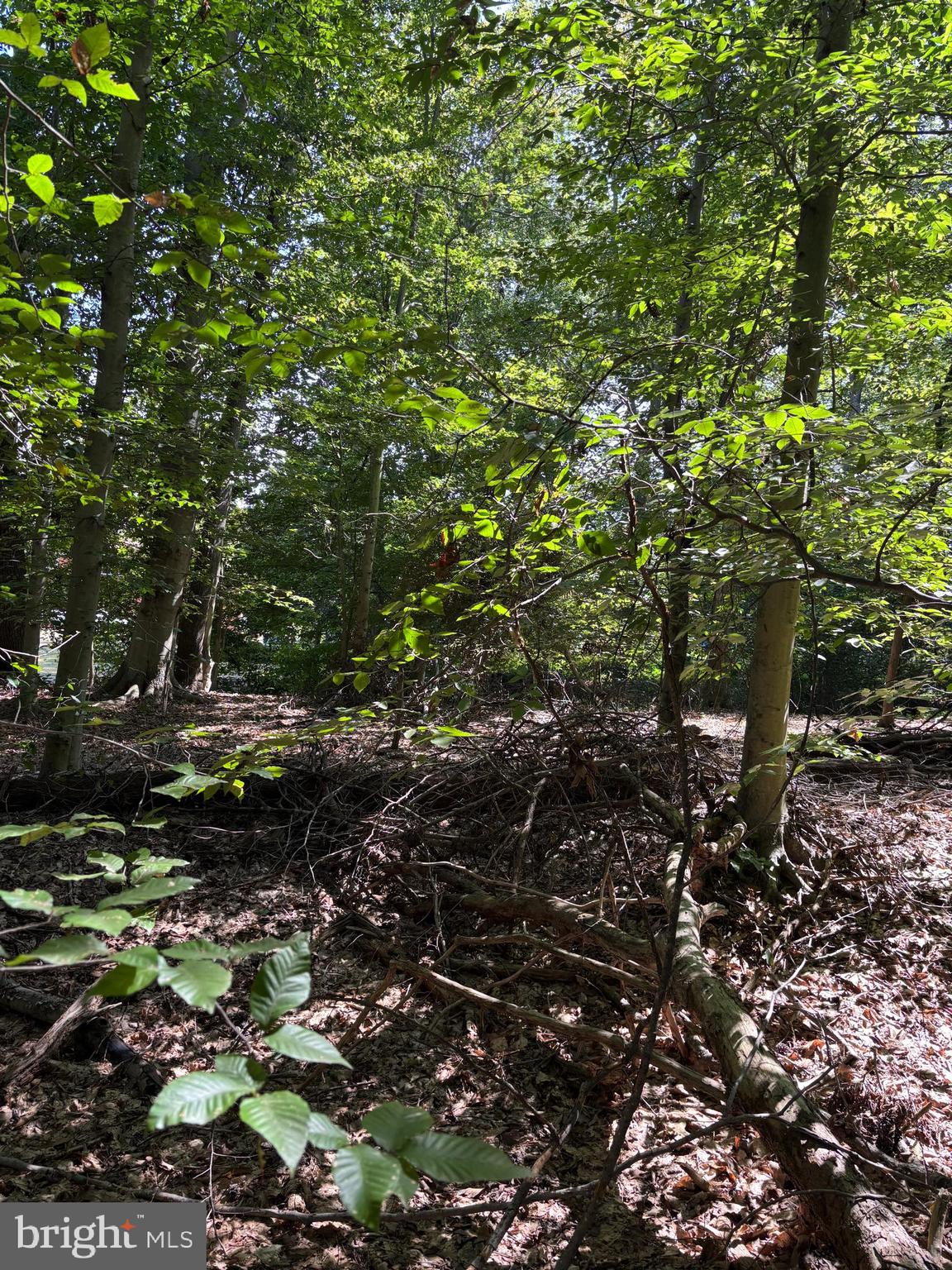 11409 Riverview Road Fort Washington, MD 20744 - Photo 2 of 15