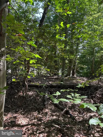 $925,000 | 11409 Riverview Road, Fort Washington, MD 20744