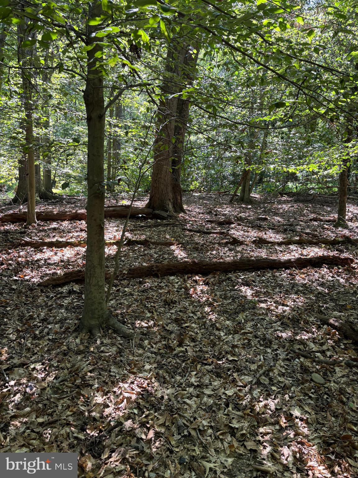 11409 Riverview Road Fort Washington, MD 20744 - Photo 4 of 15