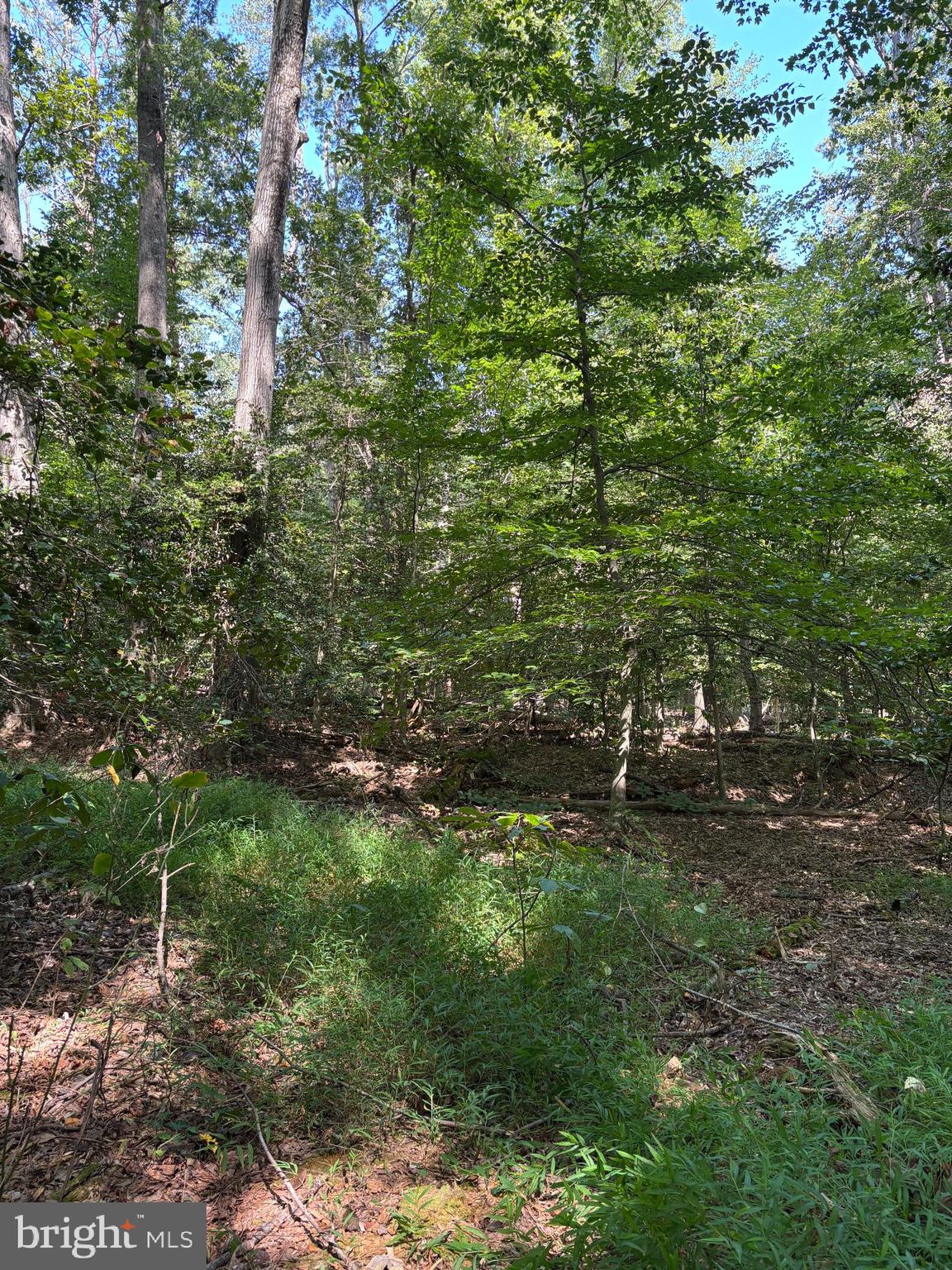 11409 Riverview Road Fort Washington, MD 20744 - Photo 7 of 15