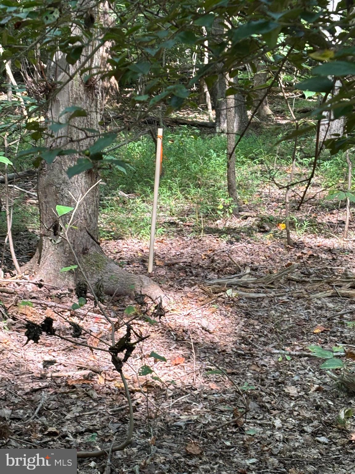 11409 Riverview Road Fort Washington, MD 20744 - Photo 9 of 15