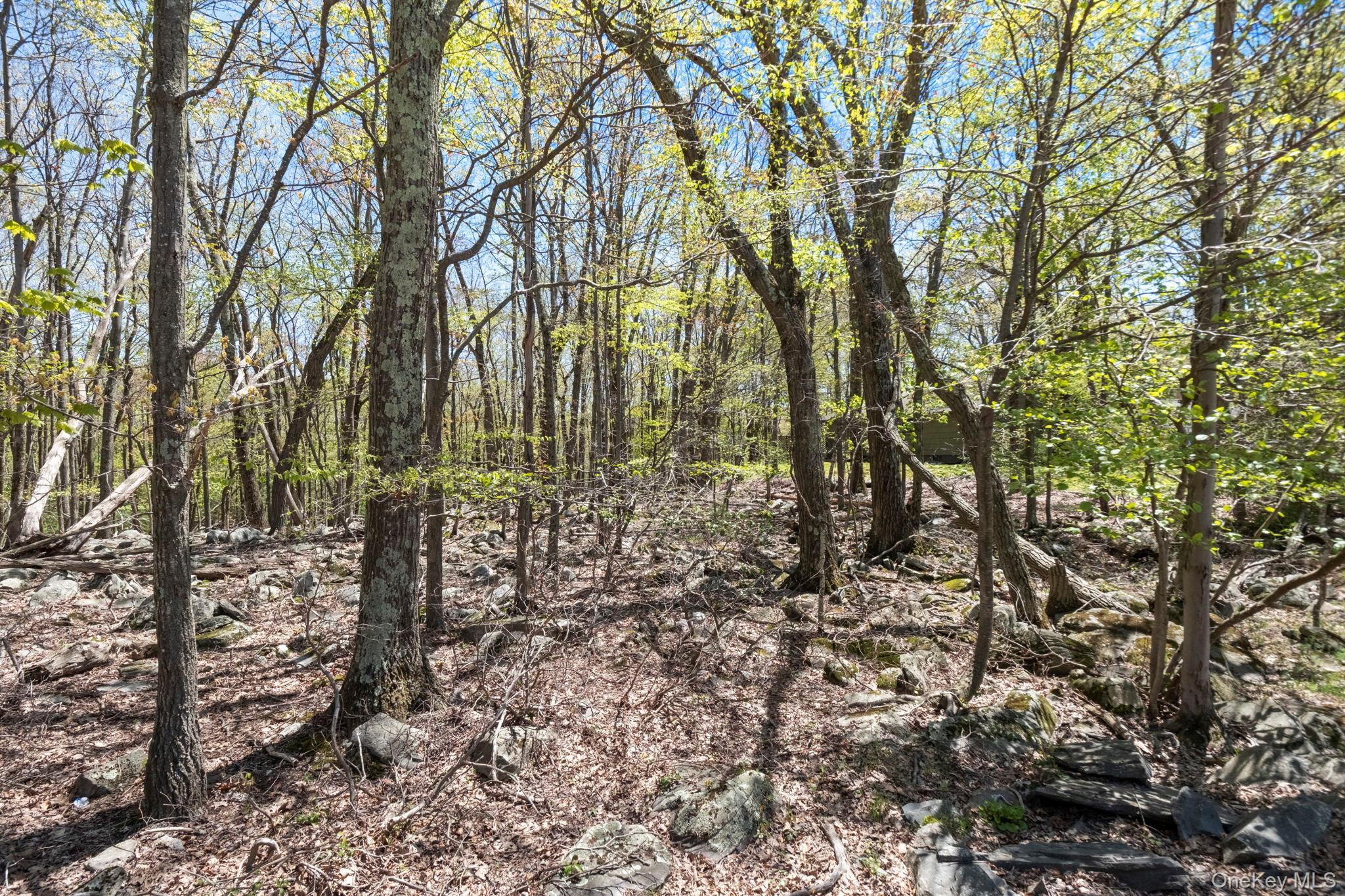 Canal Road Wurtsboro, NY 12790 - Photo 18 of 19 a view of forest