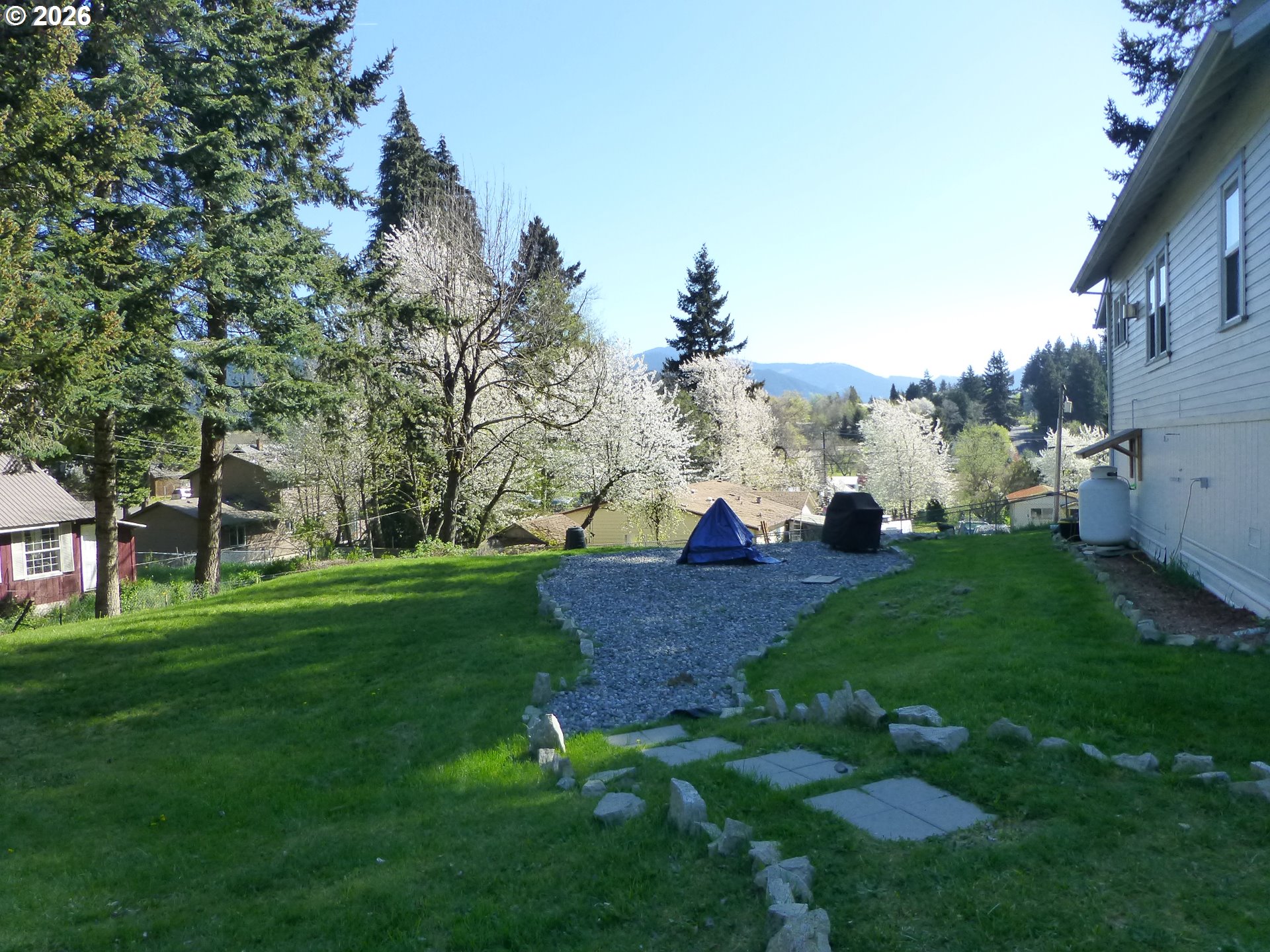 51 Wilkinson Street Carson, WA 98610 - Photo 35 of 37 a view of backyard with outdoor seating and green space