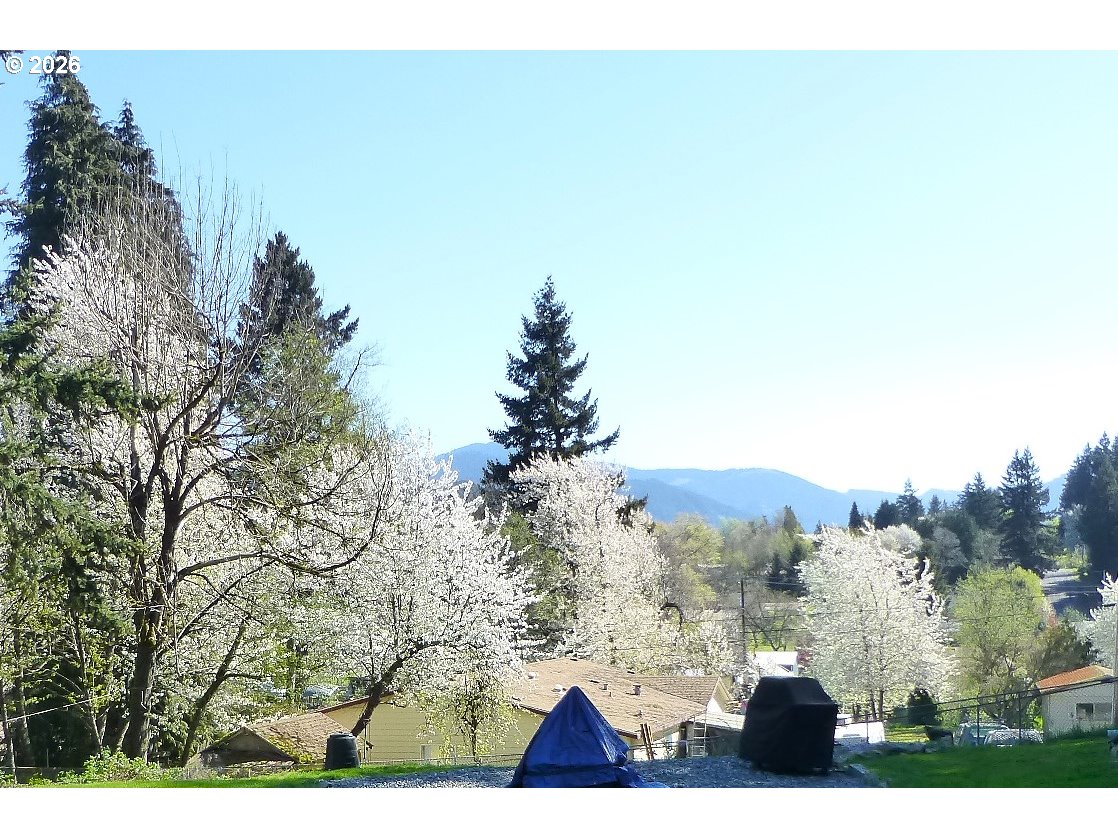 51 Wilkinson Street Carson, WA 98610 - Photo 36 of 37 a view of outdoor space and mountain view