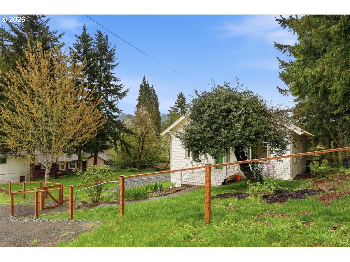 51 Wilkinson Street Carson, WA 98610 - Photo 9 of 37 a view of a backyard