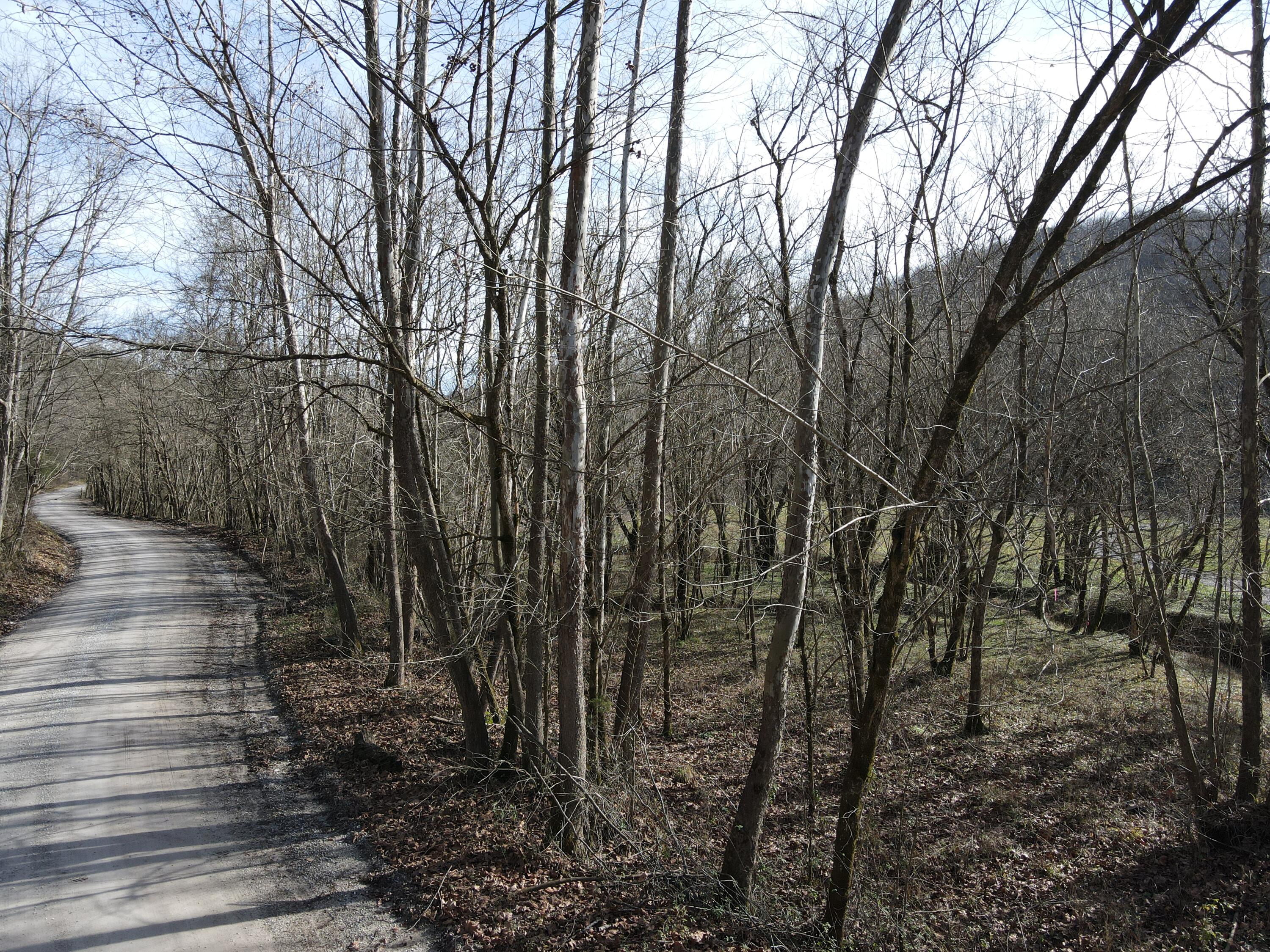 999 Mullins Station Road Livingston, KY 40445 - Photo 23 of 26 DJI_0495