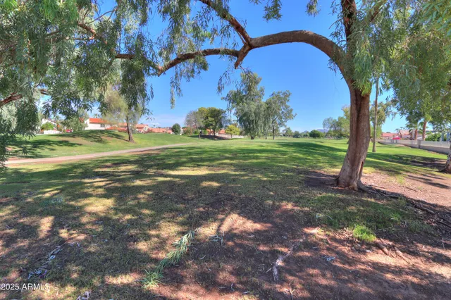 a view of a big yard