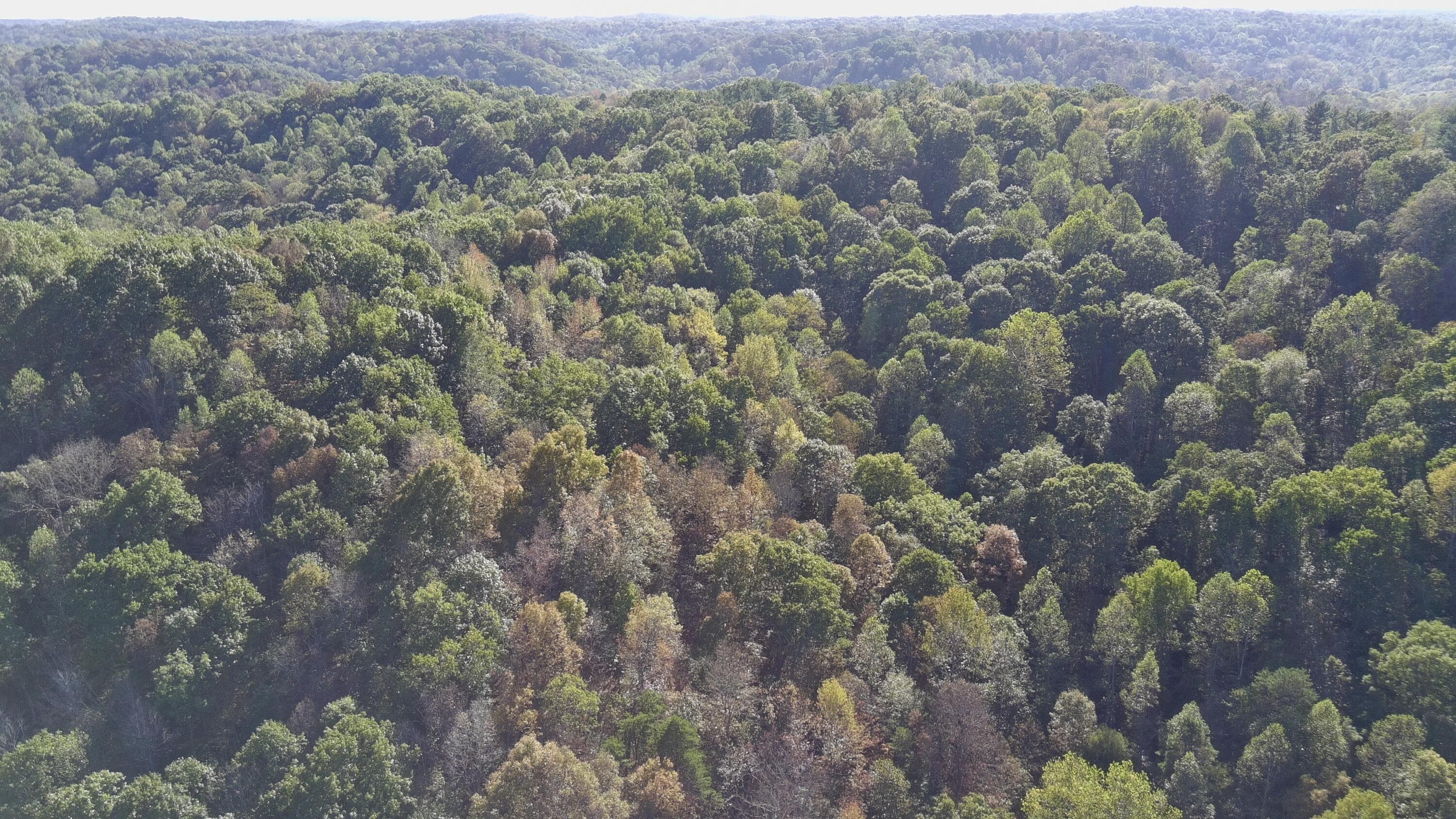 0 Dougan Road Patriot, OH 45658 - Photo 32 of 45 5755171_100DRONE_SING0273