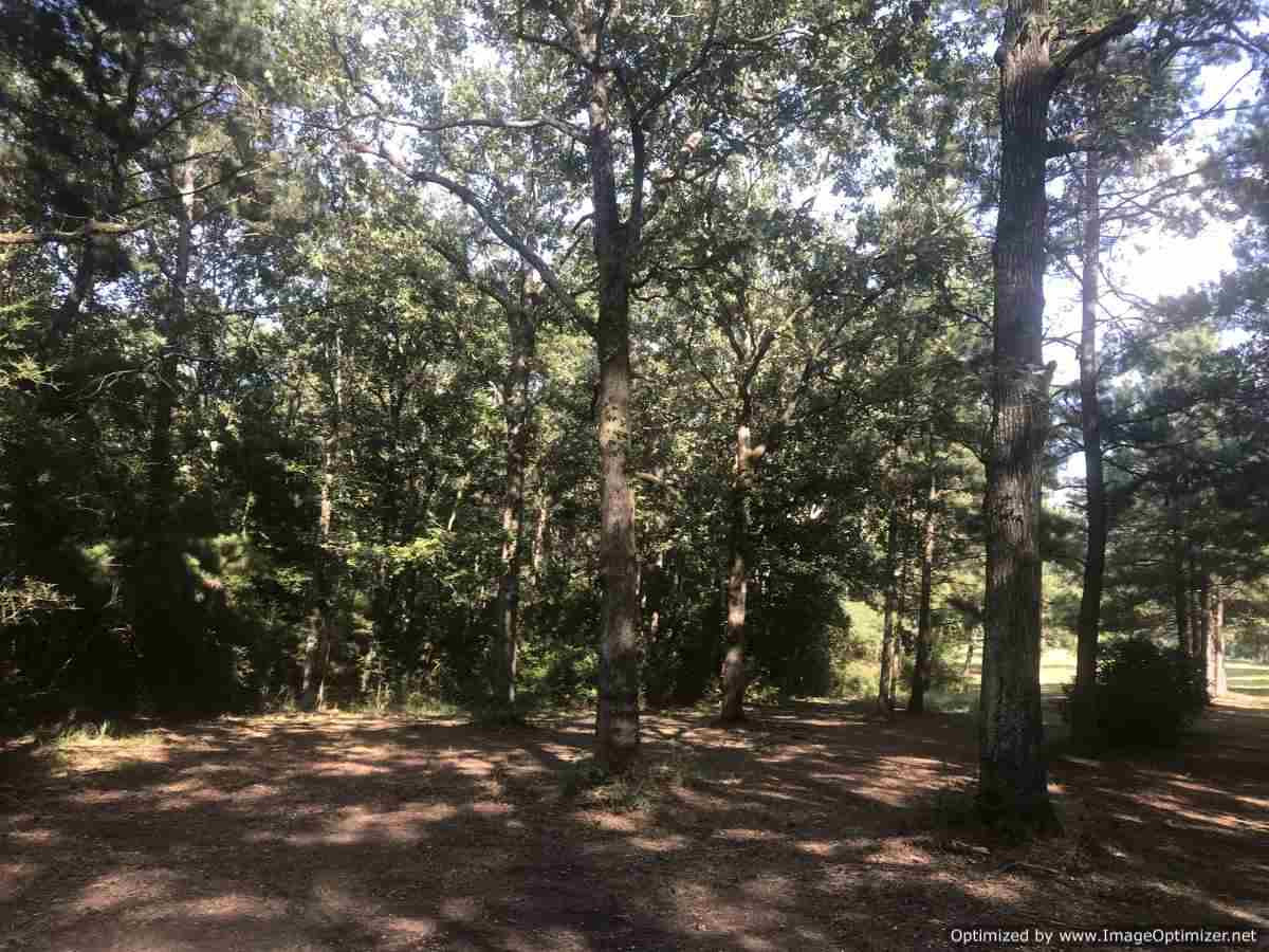 1044 A Stalling Curves, Unit A Magnolia, MS 39652 - Photo 27 of 50 Photo 27