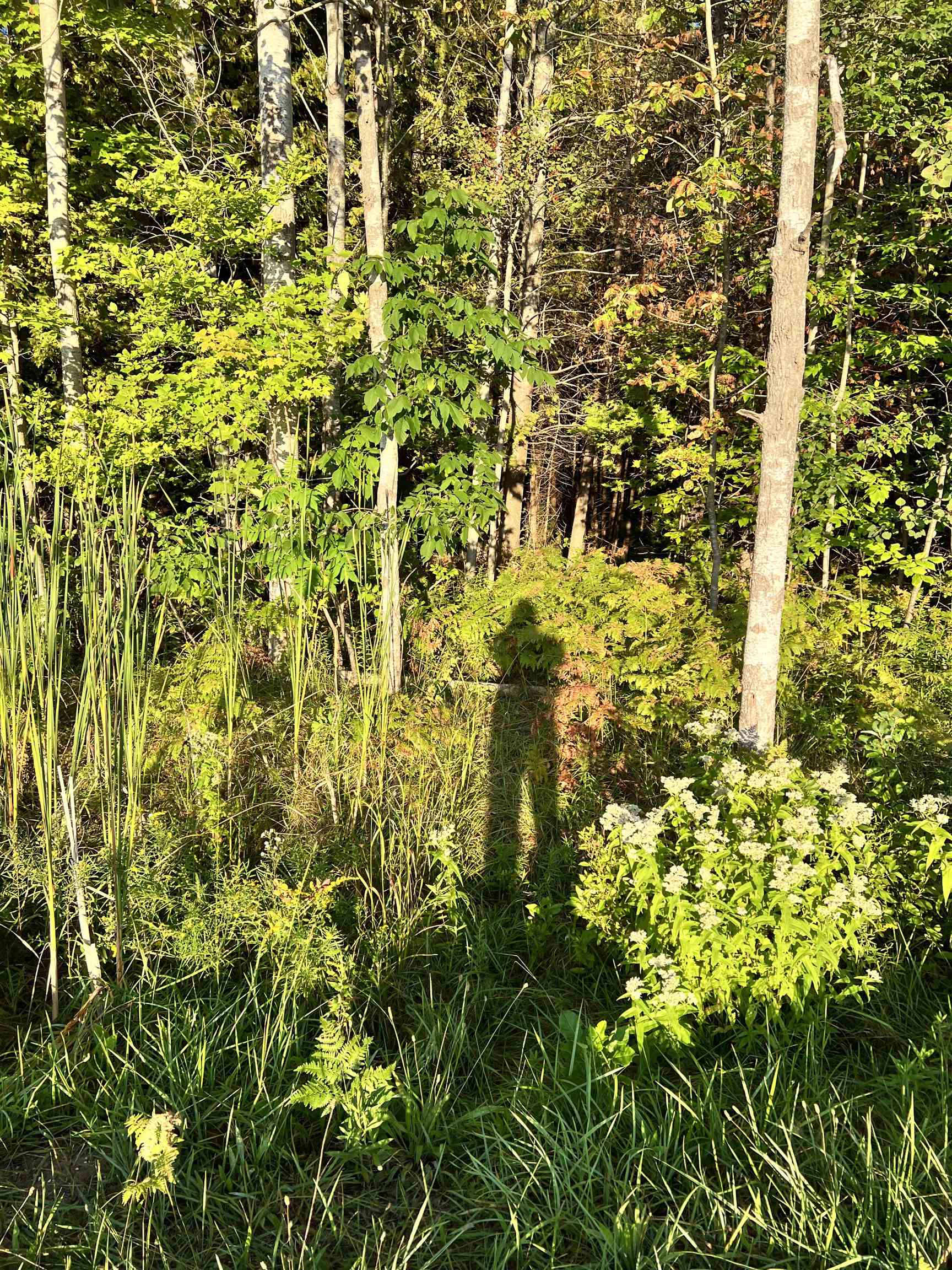 083-10 Swamp Road Beulah, MI 49617 - Photo 1 of 7