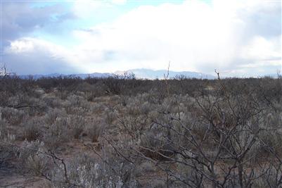 0 Dragoon Road Cochise, AZ 85606 - Photo 2 of 2 Gallery Image 2