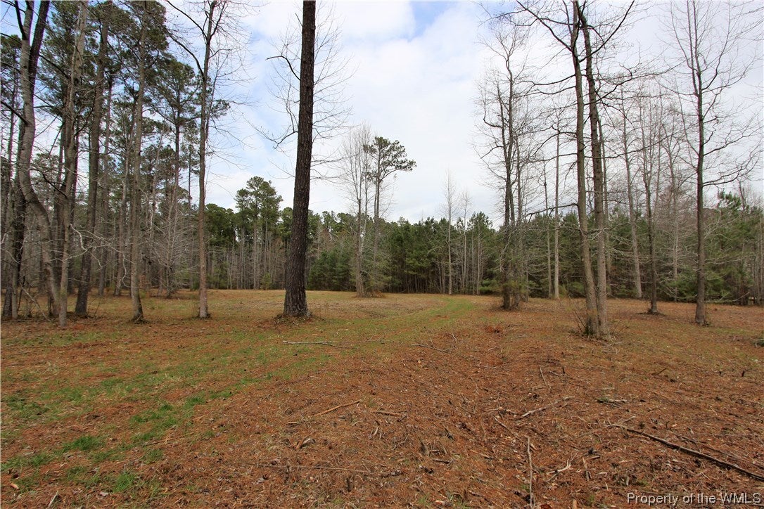 6-ac Old Forest Road Gloucester, VA 23061 - Photo 6 of 7 Gallery Image 6