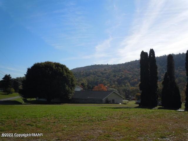 115 Balliet Court, Unit 3 Saylorsburg, PA 18353 - Photo 10 of 10 a view of flower in a field