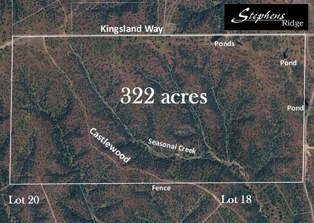 a black and white photo of a