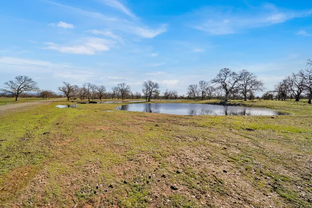 a view of a house with a mountain and a forest