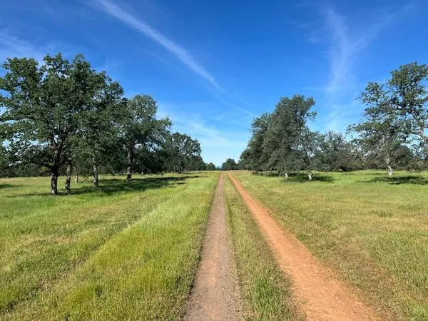 $895,000 | 322-acres 322-acres Kinglsland Way, Anderson, CA 96007