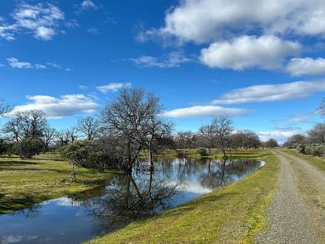 a view of a water with an ocean