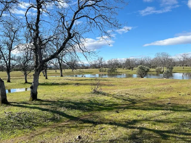 a view of an ocean and beach