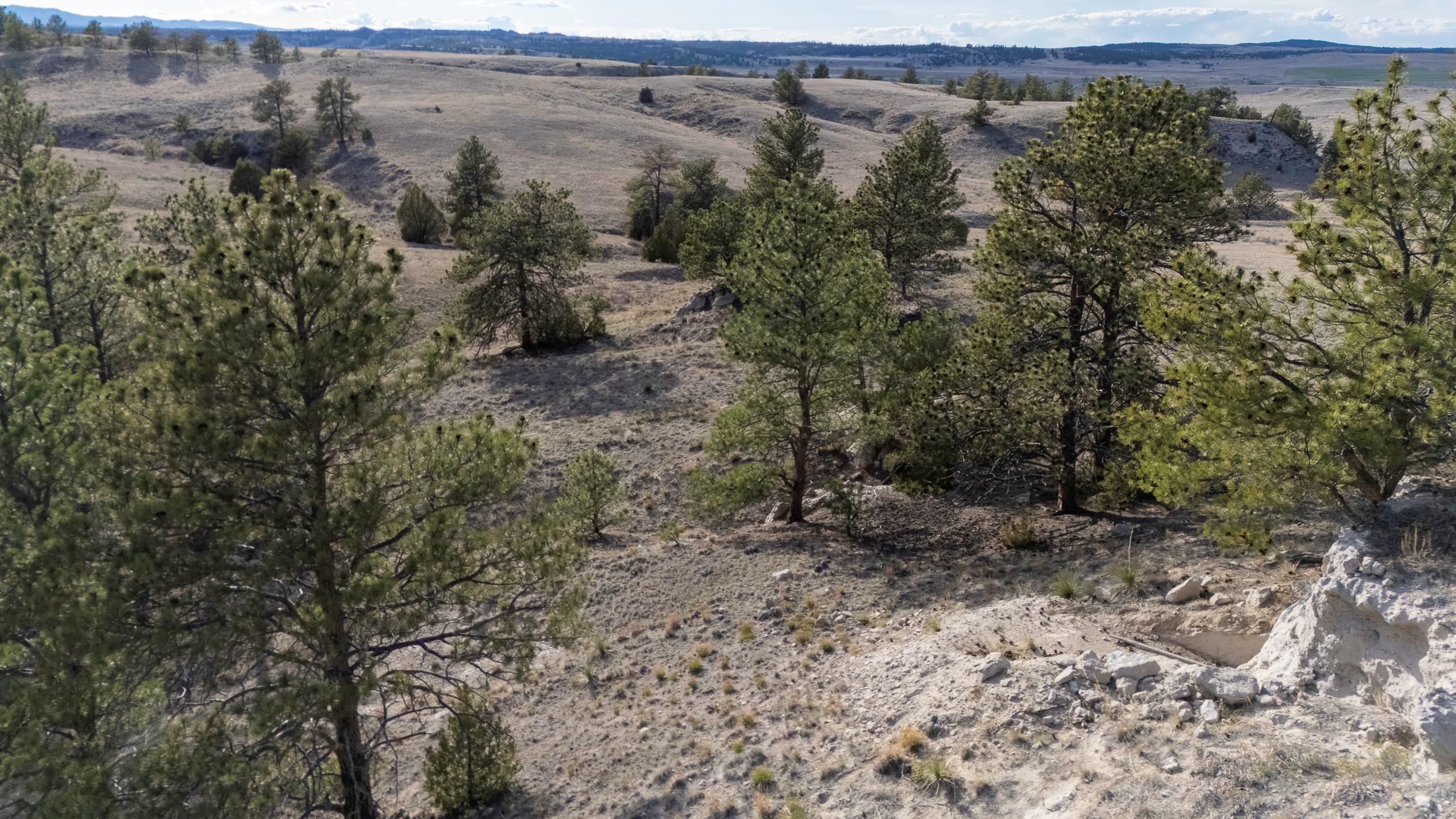 52 Wendover Road Guernsey, WY 82214 - Photo 15 of 42