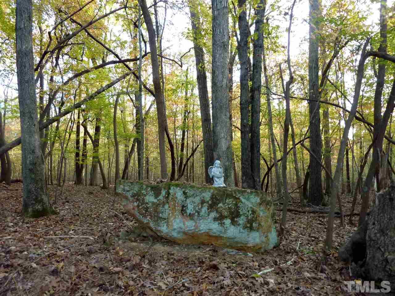 1519 Pleasant Green Road Durham, NC 27705 - Photo 30 of 30 The property to the right of driveway as you are coming in is a 50 Acre tree preserve and retreat for a local church. It can never be built on. They do let the trees go back to earth here for the animals and soil.