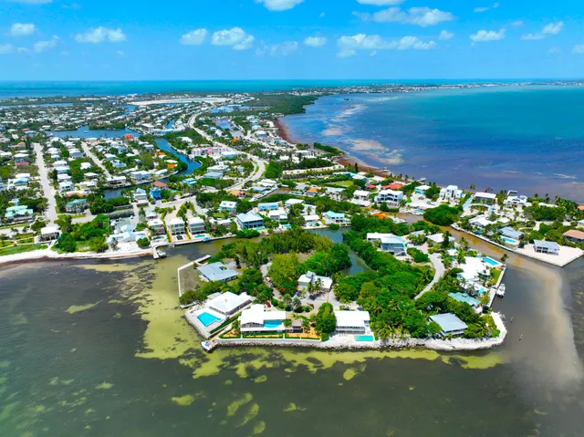 a view of a lake with a city