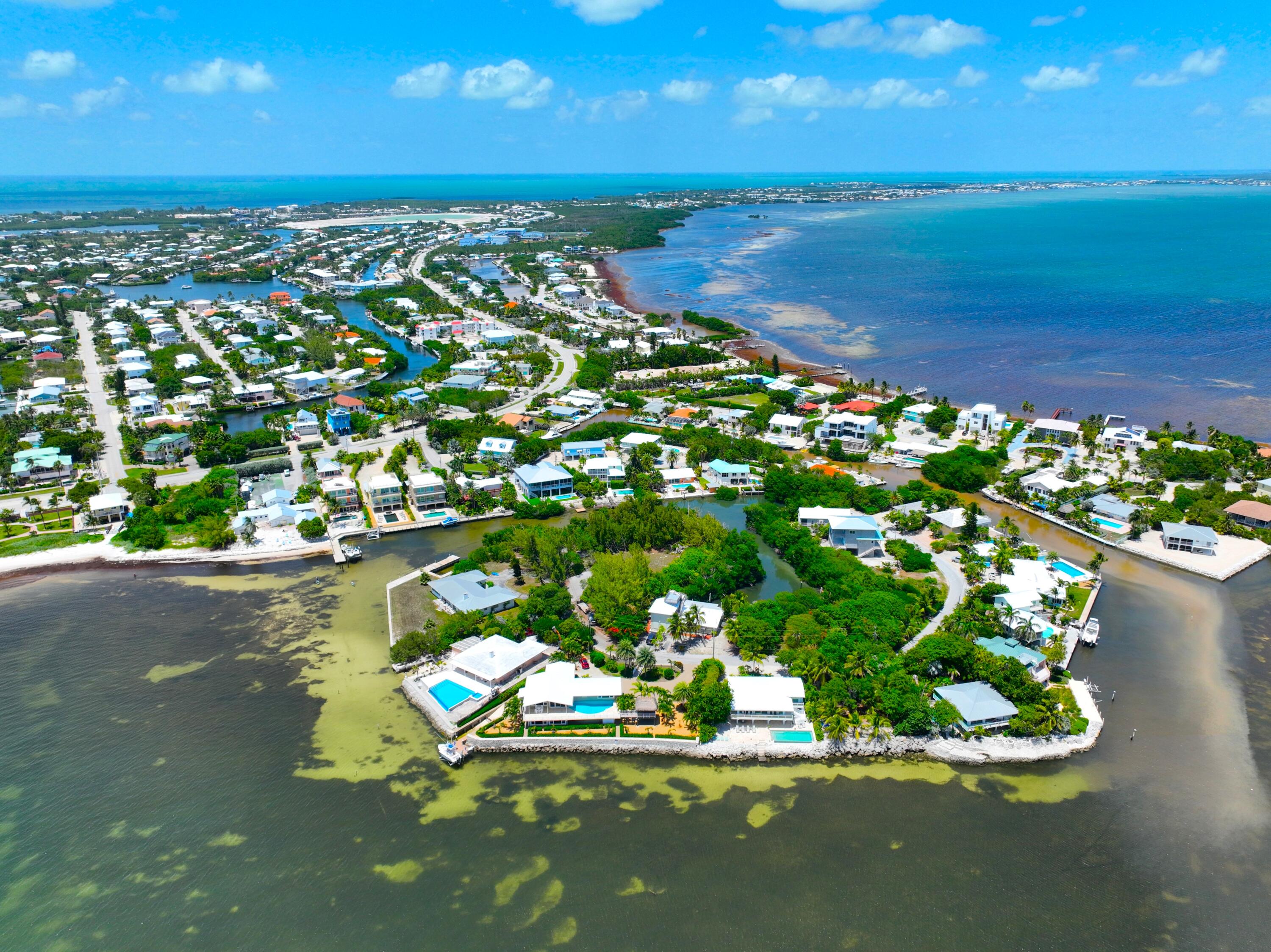 a view of a lake with a city