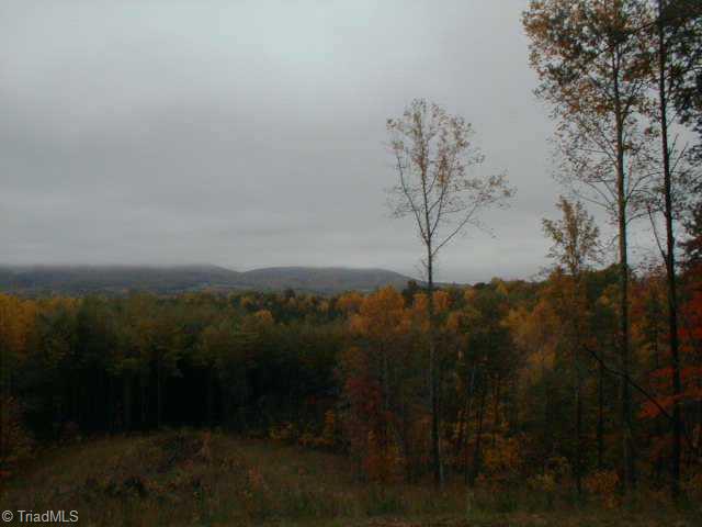 0 Lynchburg Road Pinnacle, VA 24043 - Photo 5 of 5 Other.