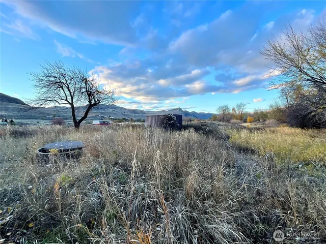 a view of backyard with trees