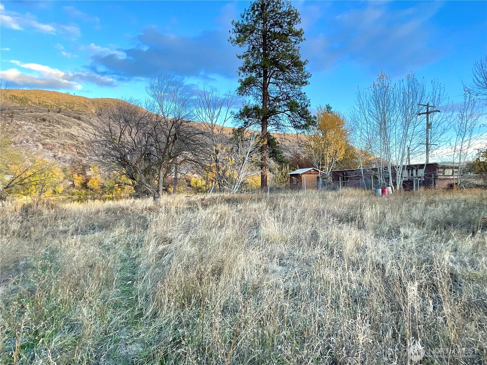 -tbd Seahawk Drive Riverside, WA 98849 - Photo 13 of 15 a view of backyard with trees